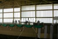 IMG_8223.jpg