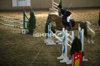 IMG_8385.jpg