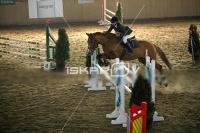 IMG_8286.jpg