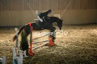 IMG_8244.jpg