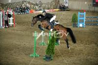 IMG_8551.jpg