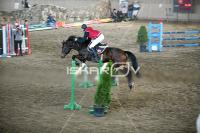 IMG_8460.jpg