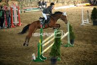 IMG_8371.jpg