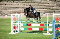 IMG_2672.jpg