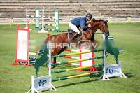 IMG_2677.jpg