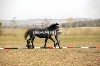 IMG_2454.jpg
