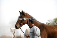 IMG_2469.jpg