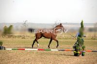 IMG_2487.jpg