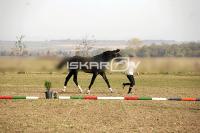 IMG_2503.jpg