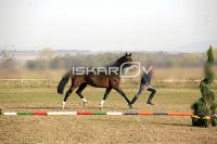 IMG_2599.jpg