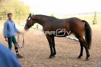 IMG_2643.jpg
