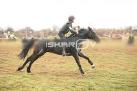 IMG_4264.jpg
