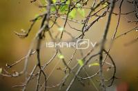 IMG_4292.jpg