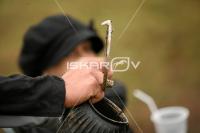IMG_4412.jpg