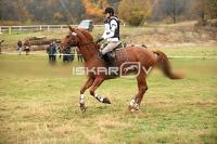 IMG_4487.jpg