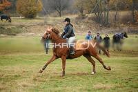 IMG_4605.jpg