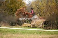 IMG_4617.jpg