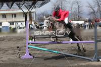 CD0A2324.jpg