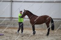 IMR_8281.jpg