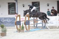 IMG_9687.jpg