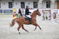 IMG_9972.jpg