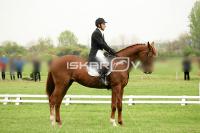 day1_IMG_9599.jpg