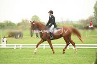 day1_IMG_9610.jpg