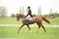 day1_IMG_9611.jpg