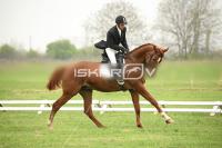 day1_IMG_9618.jpg