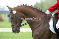 day1_IMG_9623.jpg