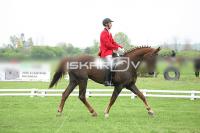 day1_IMG_9624.jpg