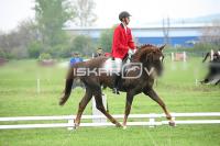day1_IMG_9627.jpg