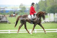 day1_IMG_9628.jpg