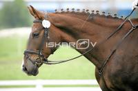day1_IMG_9636.jpg
