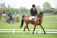 day1_IMG_9655.jpg
