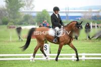 day1_IMG_9657.jpg