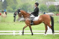 day1_IMG_9661.jpg