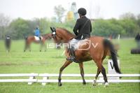 day1_IMG_9658.jpg