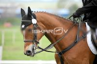 day1_IMG_9669.jpg