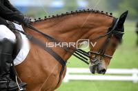 day1_IMG_9665.jpg