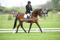 day1_IMG_9675.jpg
