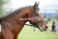 day1_IMG_9685.jpg