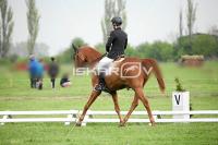 day1_IMG_9695.jpg
