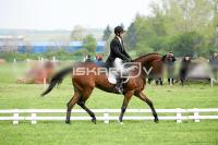 day1_IMG_9703.jpg