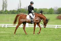 day1_IMG_9700.jpg