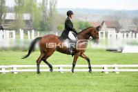 day1_IMG_9704.jpg