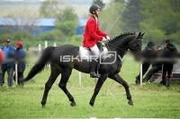 day1_IMG_9710.jpg