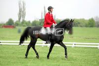 day1_IMG_9711.jpg