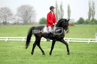 day1_IMG_9717.jpg