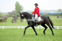 day1_IMG_9715.jpg